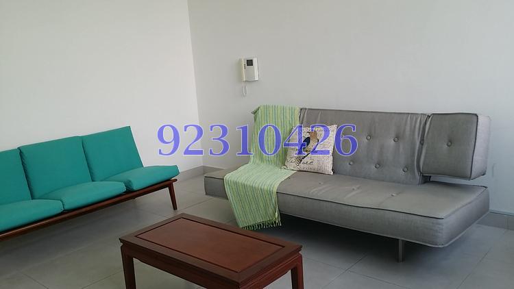 The Rochester Residences (D5), Apartment #99366622